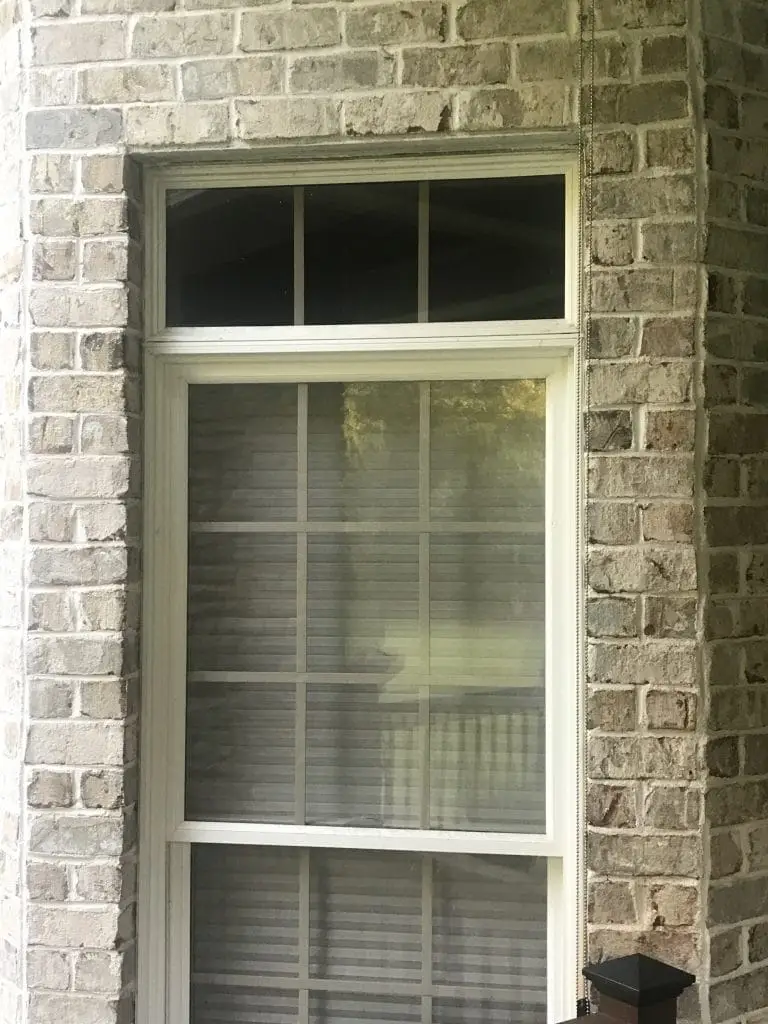 transom shed window